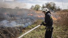 Более 40 пожаров произошли на Харьковщине в экосистемах