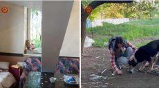 В Харькове КАБ повредила приют для животных (видео)