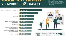Работа в Харькове: нужны водители, сварщики, бухгалтеры и грузчики