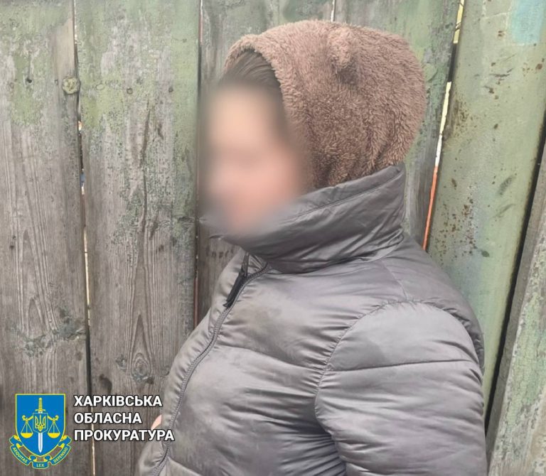 15 років за ґратами загрожує жінці з Харківщини, яка вкрала виплати ВПО