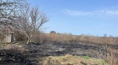 Літня жінка палила траву – і загинула в цій пожежі на Харківщині