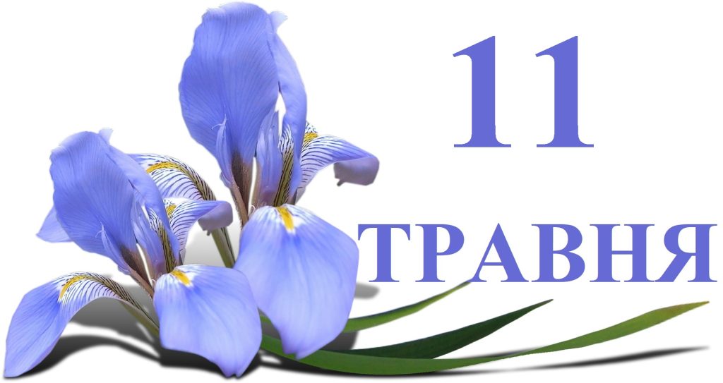 Сегодня 11 мая: какой праздник и день в истории