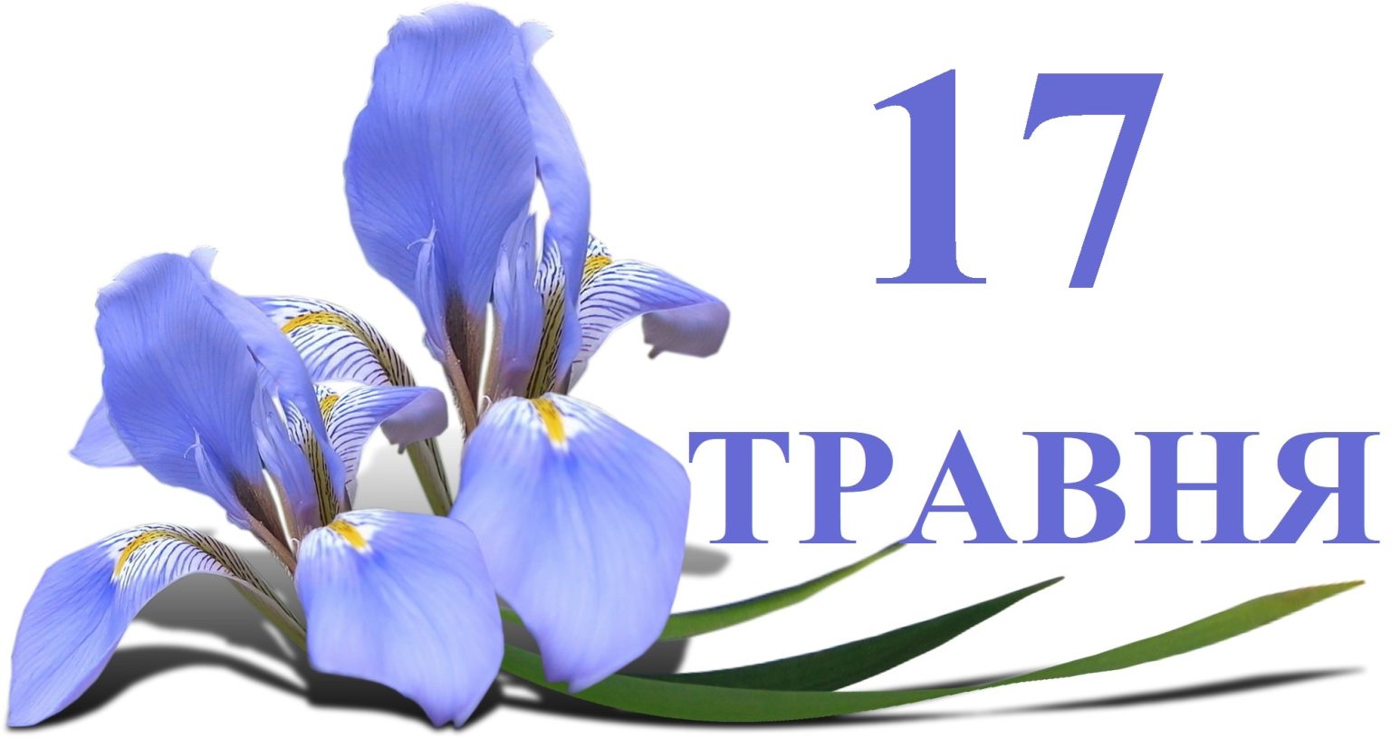 Сегодня 17 мая: какой праздник и день в истории