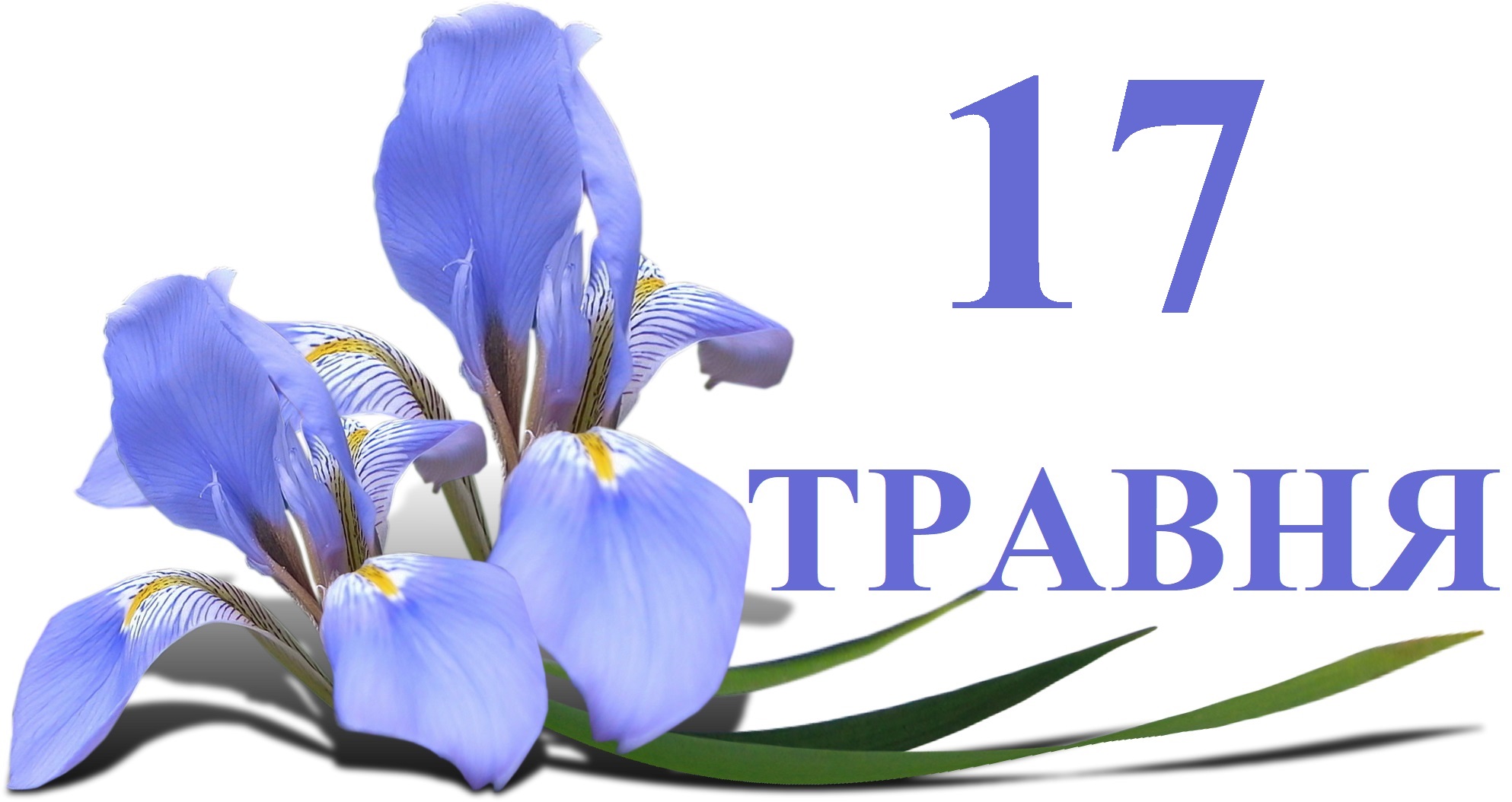 Сегодня 17 мая: какой праздник и день в истории