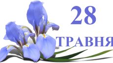 Сегодня 28 мая: какой день в истории