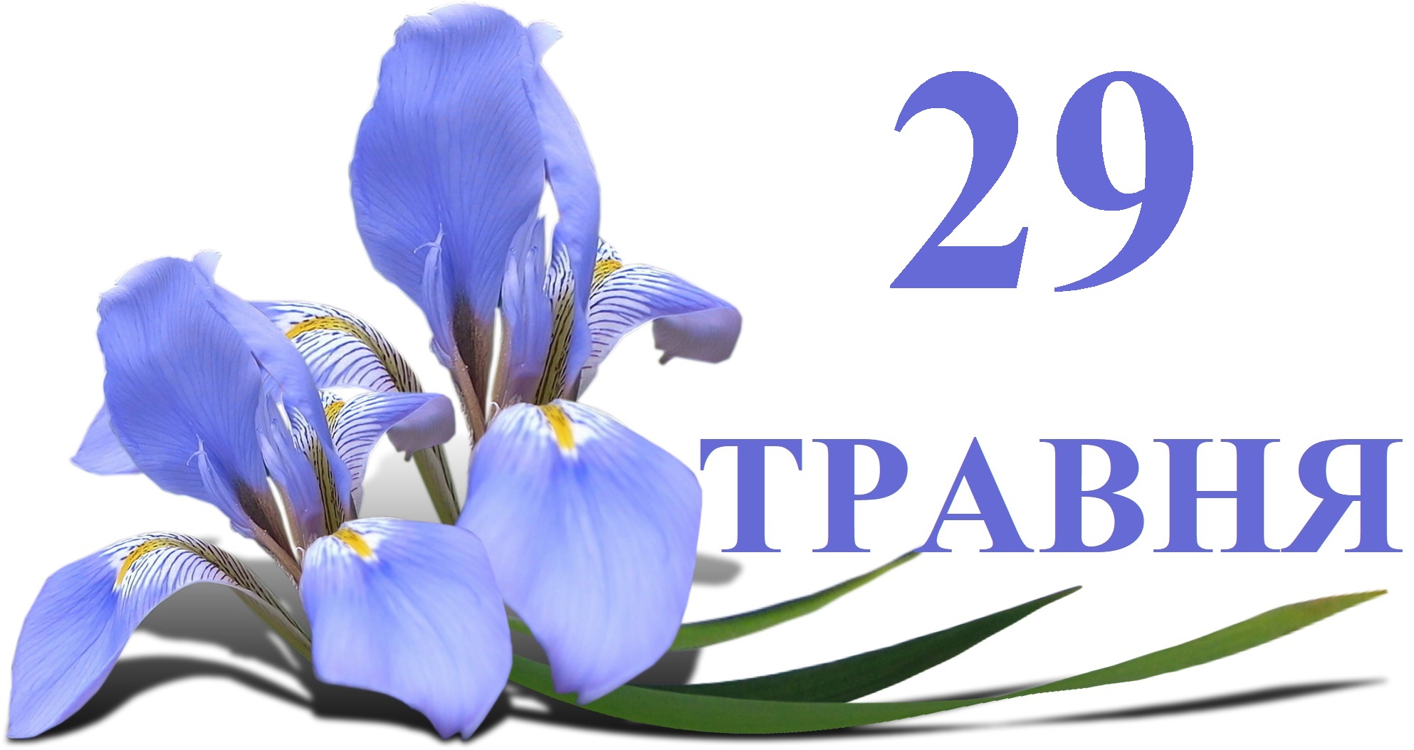 Сьогодні 29 травня: яке свято та день в історії