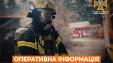 В Харькове горело деревообрабатывающее предприятие, в области — леса — ГСЧС