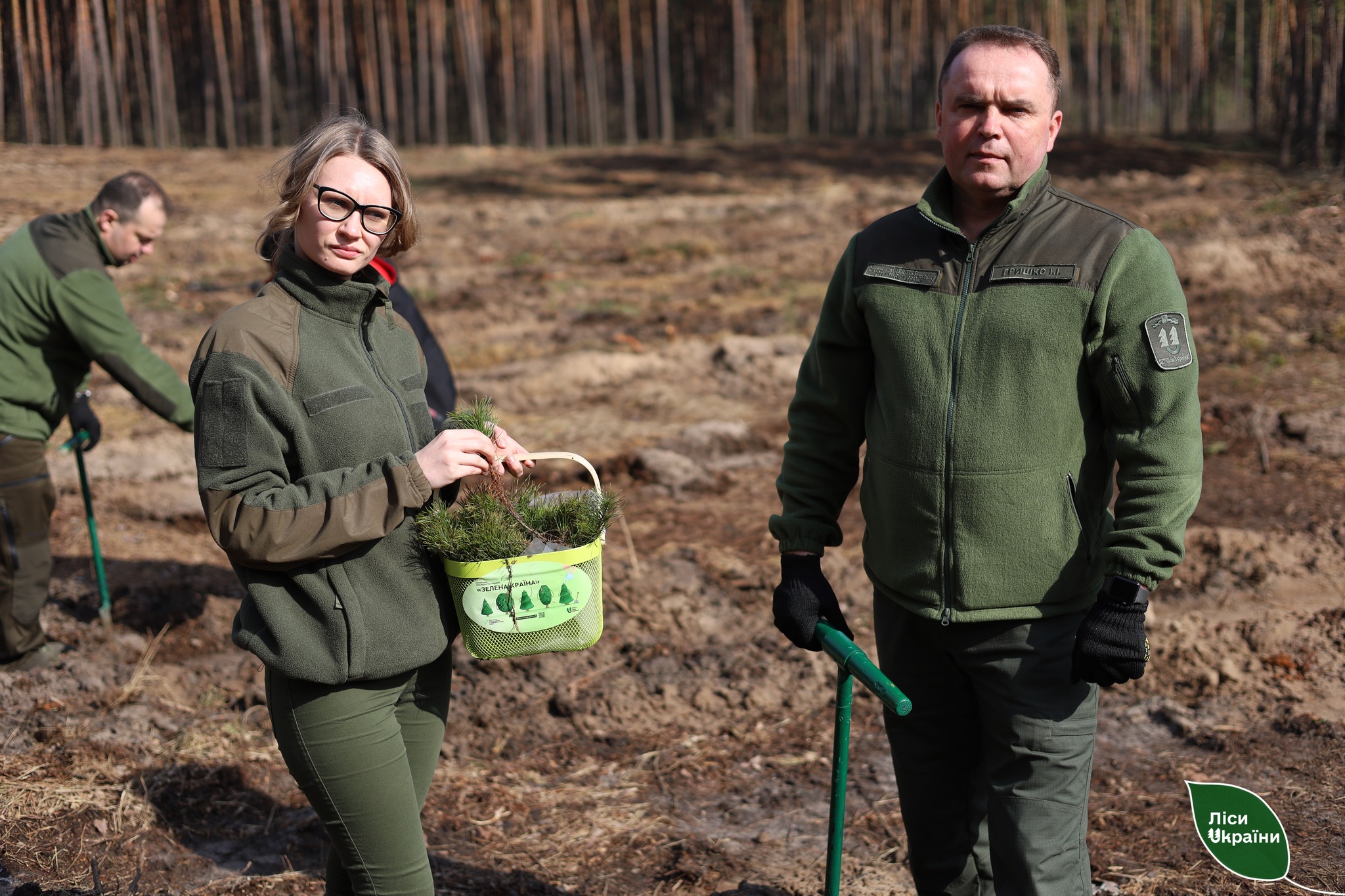 Висаджують дерева в Харківській області.