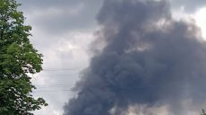 Масштабный пожар в Харькове: горела сухая трава и камыш (фото, видео)