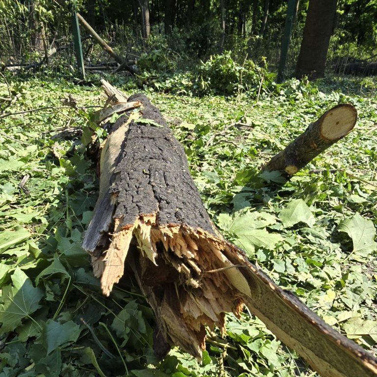 Поваленные деревья, поврежденные газоны: Центральный парк Харькова после удара