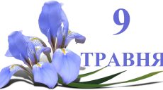 Сегодня 9 мая: какой праздник и день в истории