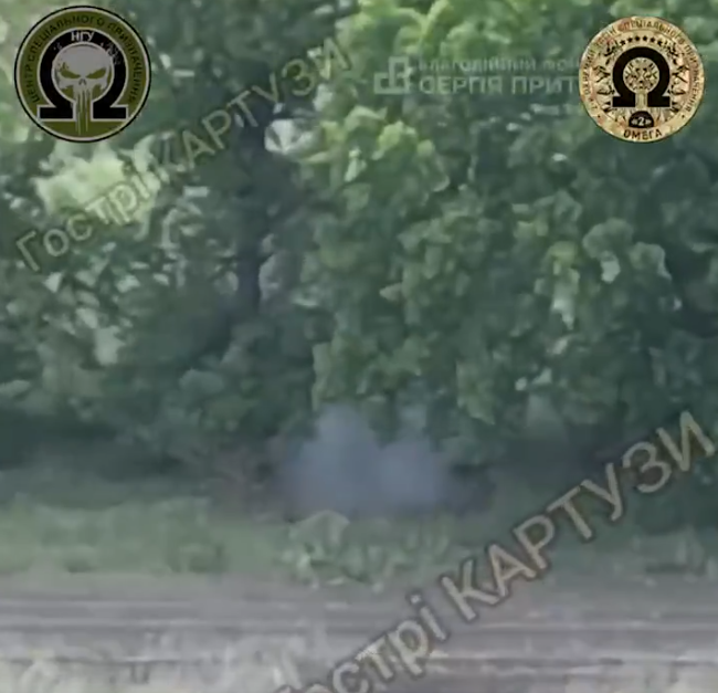 На Харківщині нейтралізували штурмову групу РФ одним дроном (відео)