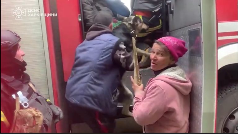 Людей та собак евакуювали на пожежній машині з півночі Харківщини – (відео)