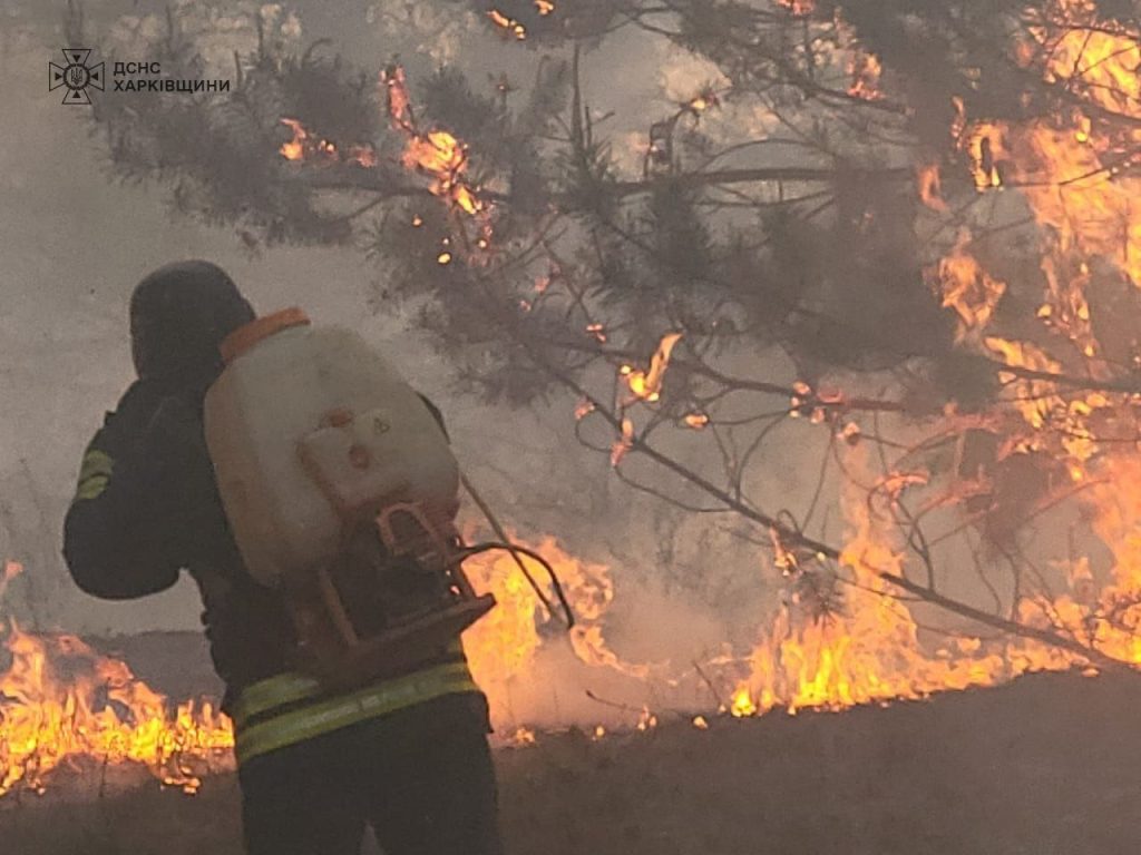 Масштабну лісову пожежу гасили на Харківщині: горів сосновий ліс (фото)