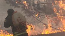 Масштабный лесной пожар тушили на Харьковщине: горел сосновый лес (фото)