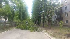 Шквал в Харькове повалил полтора десятка деревьев и полсотни веток (фото)