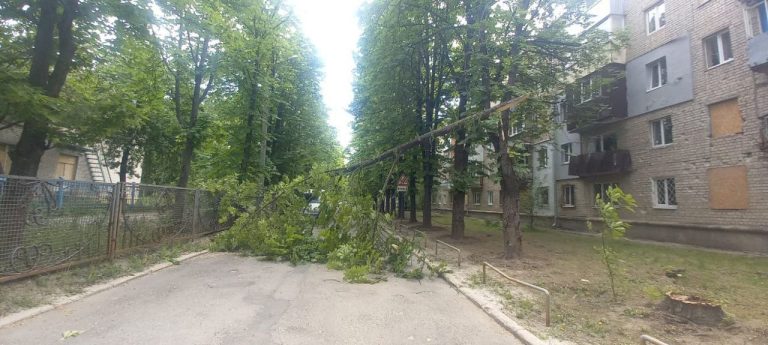 Шквал у Харкові повалив півтора десятка дерев і пів сотні гілок (фото)