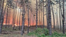 Оккупанты подожгли на Харьковщине леса, траву и склады