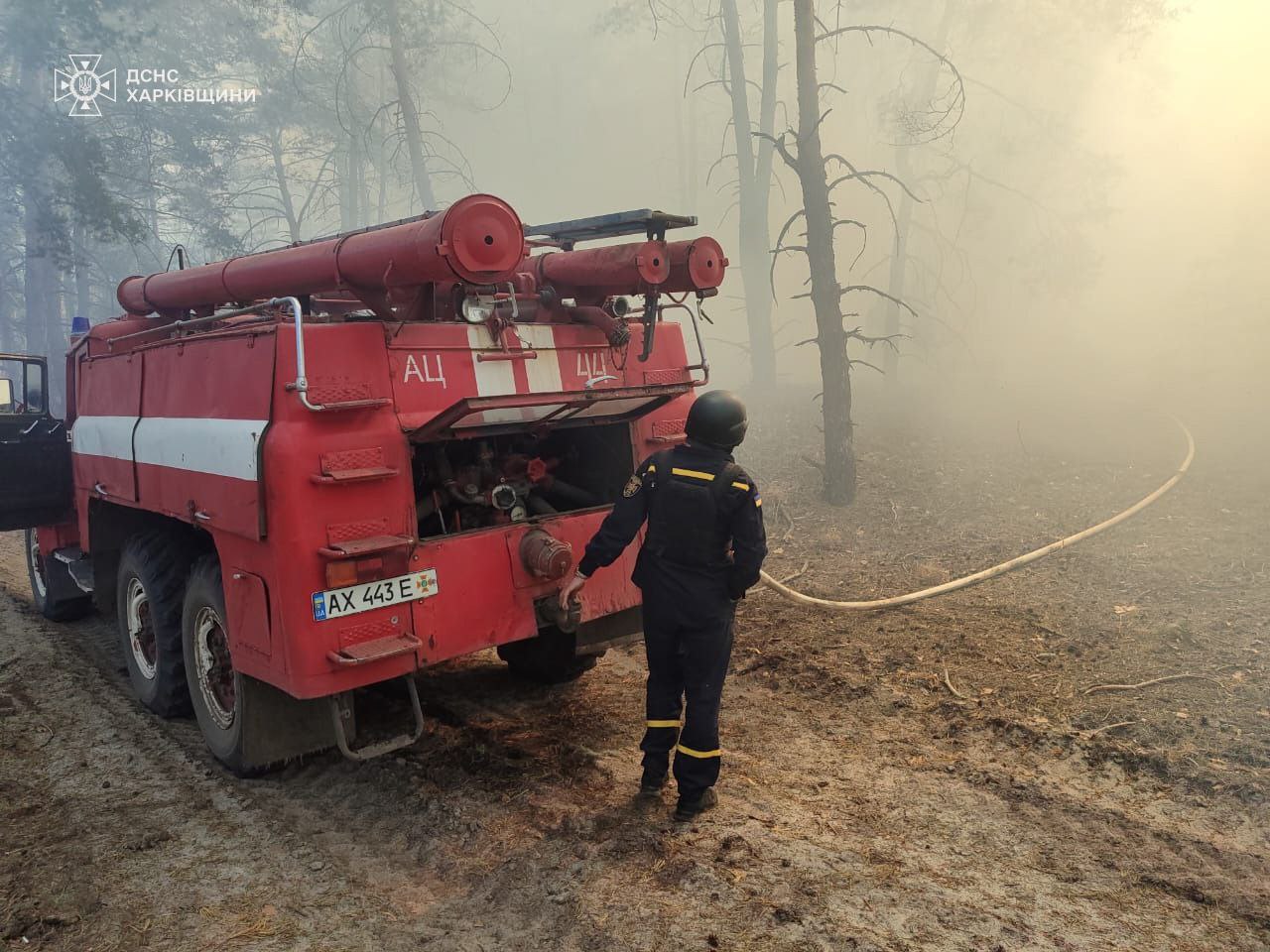 пожар, горит лес в Харьковской области 3