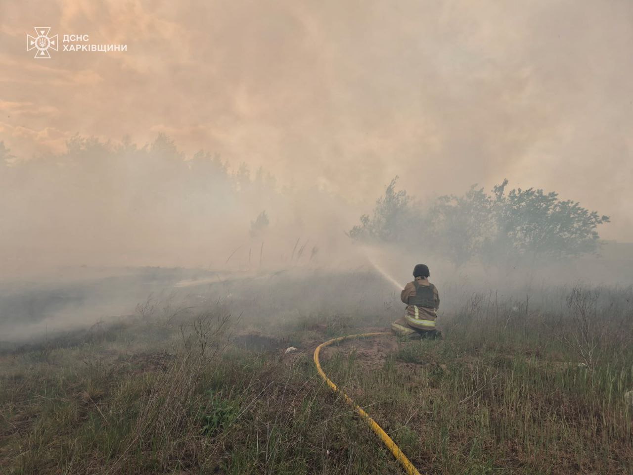 пожар, горит лес в Харьковской области 4