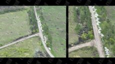 “Дискредитація” – Синєгубов про “зуби дракона”, звалені в купу на Харківщині