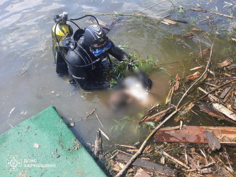 Пропавший без вести мужчина в Черкасской Лозовой погиб: тело нашли водолазы