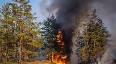 Леса горят в Харьковской области из-за обстрелов россиян
