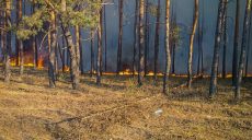 На Харьковщине продолжают гасить пять лесных пожаров, горят 3000 га — ГСЧС