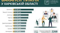 Робота в Харкові та області: пропонують вакансії із зарплатою до 20 тис. грн