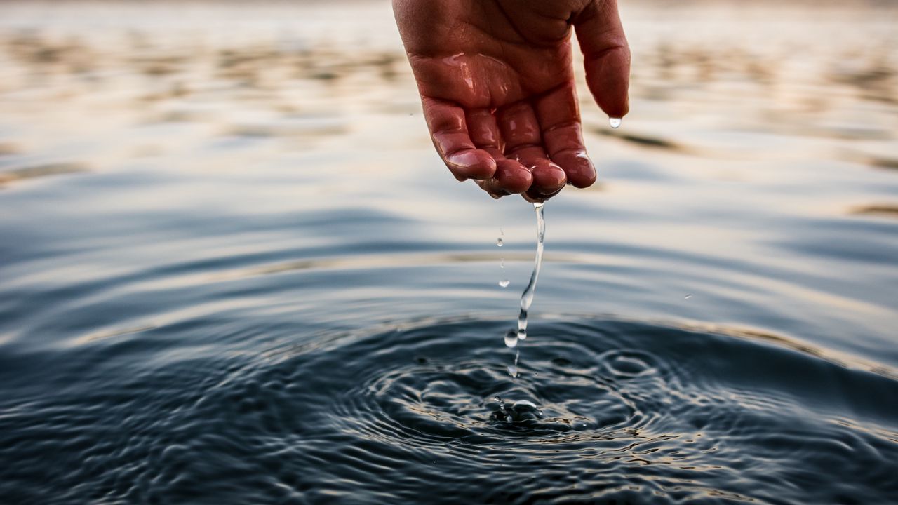 Два водосховища під Харковом за 7,5 млрд грн відібрали у підприємства