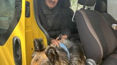 «В городе ад». Мужчина с собакой пешком вышли из Волчанска на Харьковщине