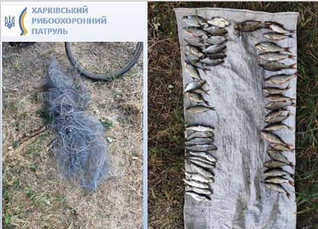 Порибалив на понад 50 тис. грн: на Харківщині піймали браконьєра