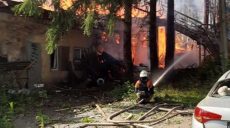 Питомник для бездомных животных уничтожили россияне под Харьковом (фото)