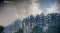 Масштабный лесной пожар продолжается на Харьковщине: горят 3450 га
