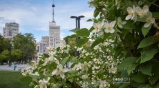 Главные новости Харькова 5 июня: Сырский о фронте, отключения света