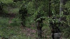 Враг четыре раза атаковал в районах Липцев и Волчанска — Генштаб на 19:00