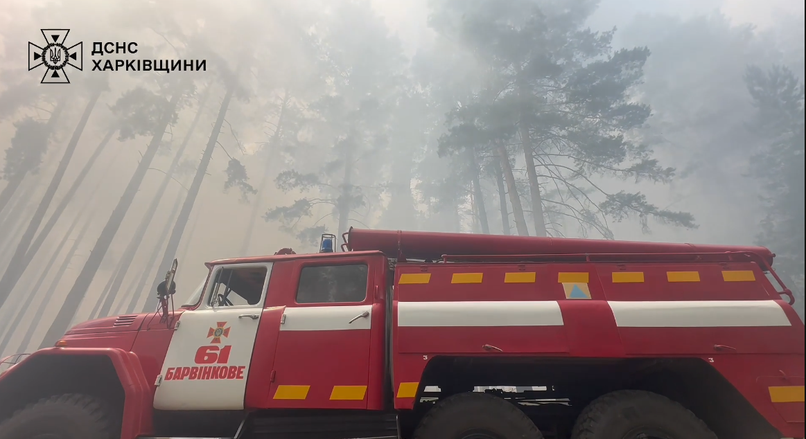 У замінованому лісі на Харківщині загасили масштабну пожежу (відео)