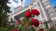Ночью – дождь. Какой будет погода 6 июня в Харькове и области