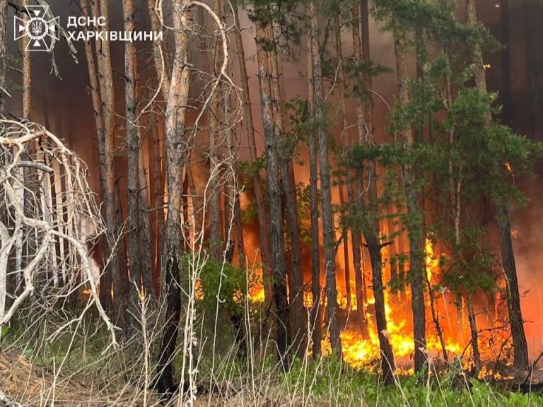 Масштабные лесные пожары тушат на Харьковщине: огнем охвачены почти 4 тыс. га