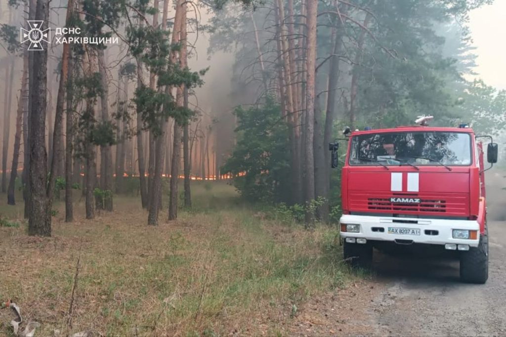 Один из лесных пожаров на Харьковщине потушили, бушуют еще три (фото)