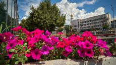 Жара вернулась: прогноз погоды в Харькове и области 28 июля