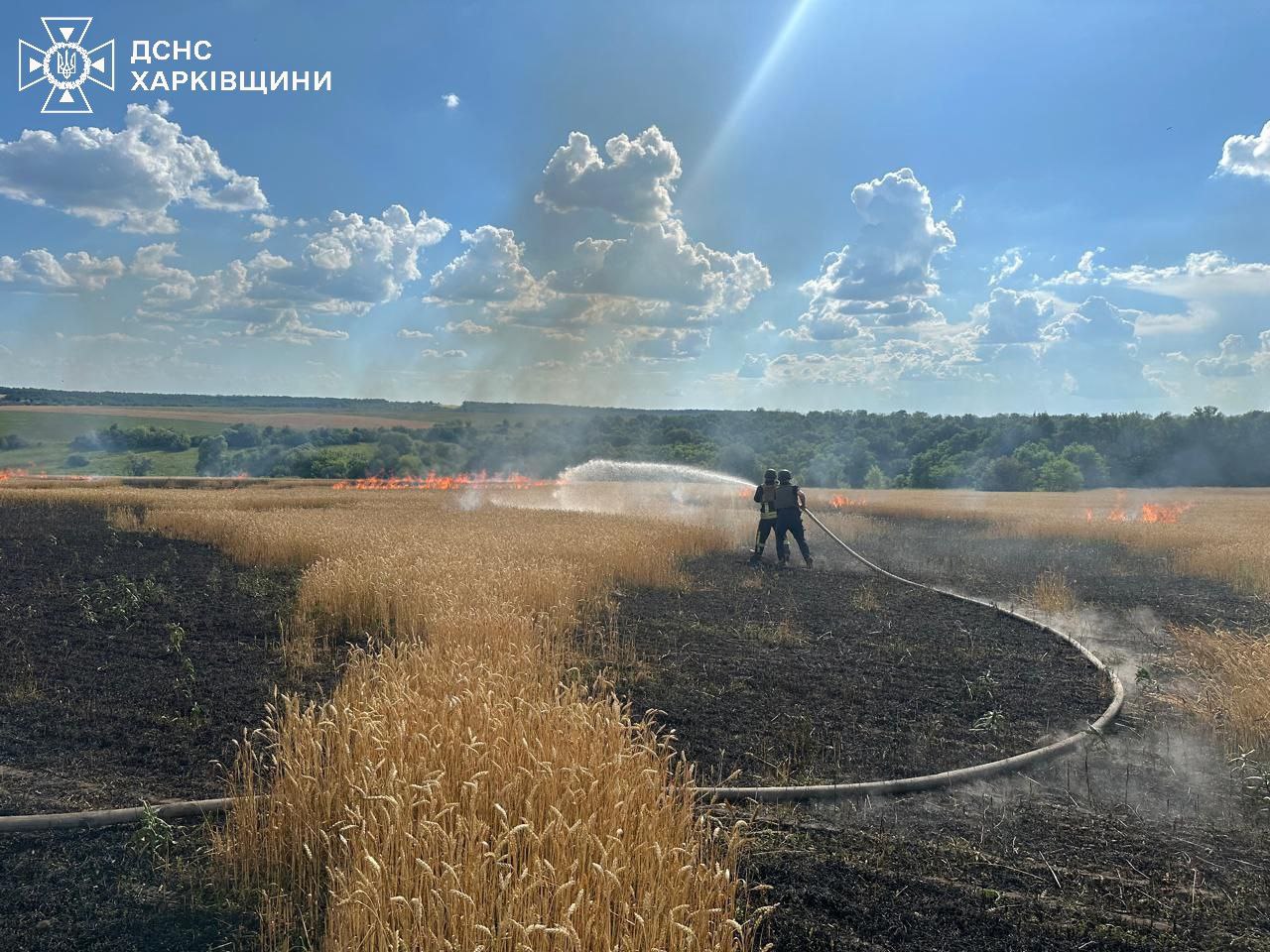 Враг ударил по хлебному полю на Харьковщине, чтобы уничтожить урожай — ГСЧС