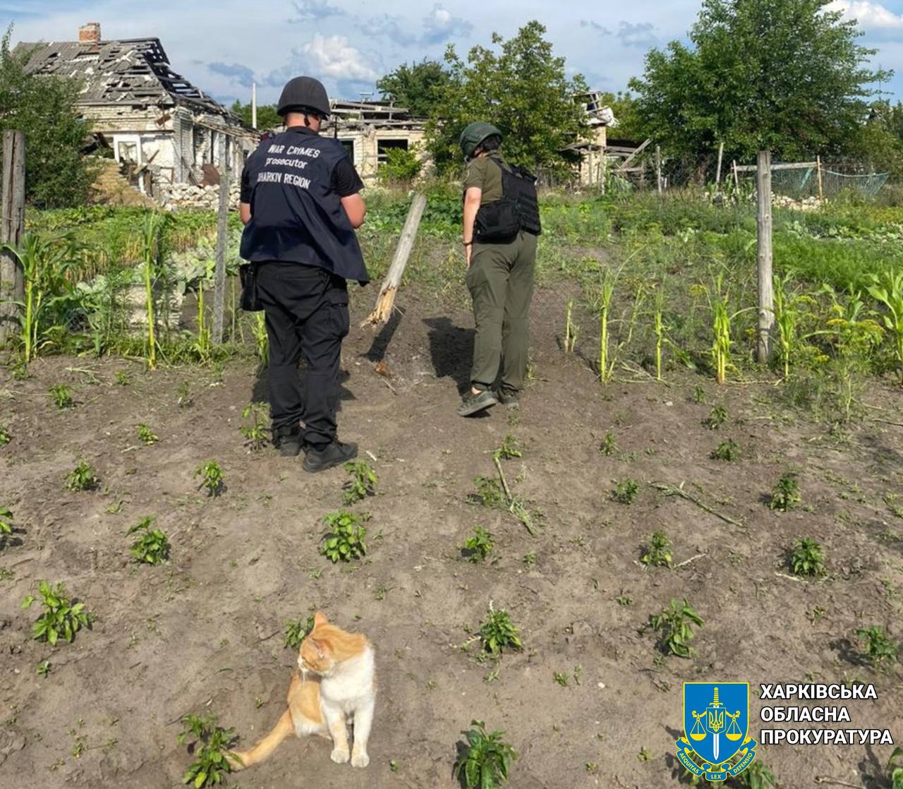 80-річна мешканка Куп’янська-Вузлового поранена через обстріл військових РФ