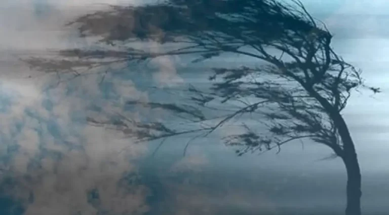 Буде небезпечно: мешканців Харкова та області попередили про шквали