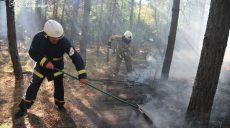 Масштабный пожар в лесу вблизи Балаклеи на Харьковщине остановили (фото)