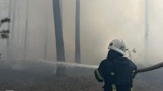 Семь лесных пожаров тушат на Харьковщине: огнем охвачены более 143 гектаров