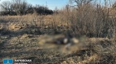 Ударили ломом и битой минимум 200 раз: заказное убийство произошло в Харькове
