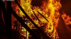 Под Харьковом с ночи горело деревообрабатывающее предприятие (фото)