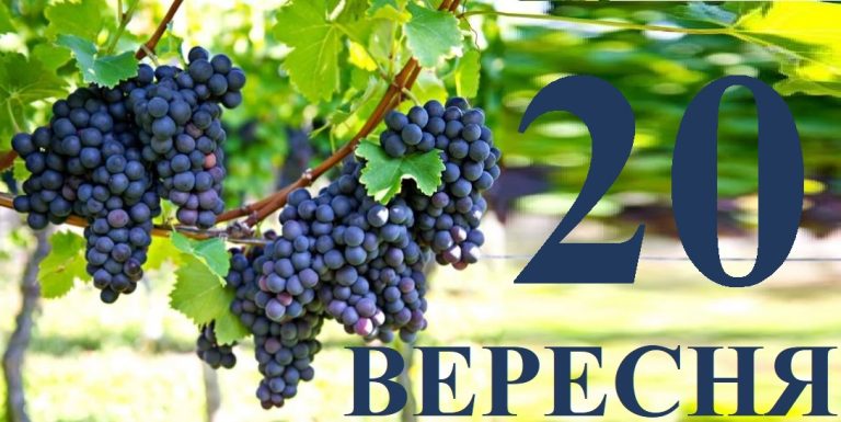 Сегодня 28 января: какой праздник и день в истории
