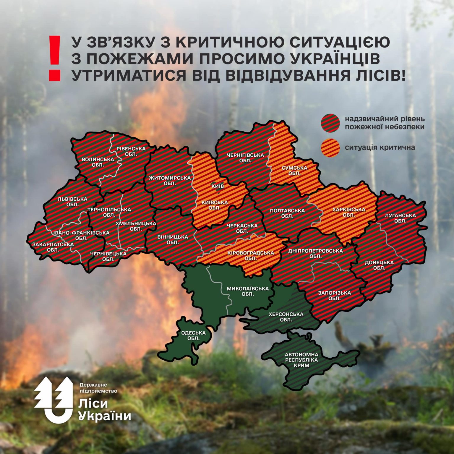«Ситуация на Харьковщине критическая» — лесники о масштабных пожарах